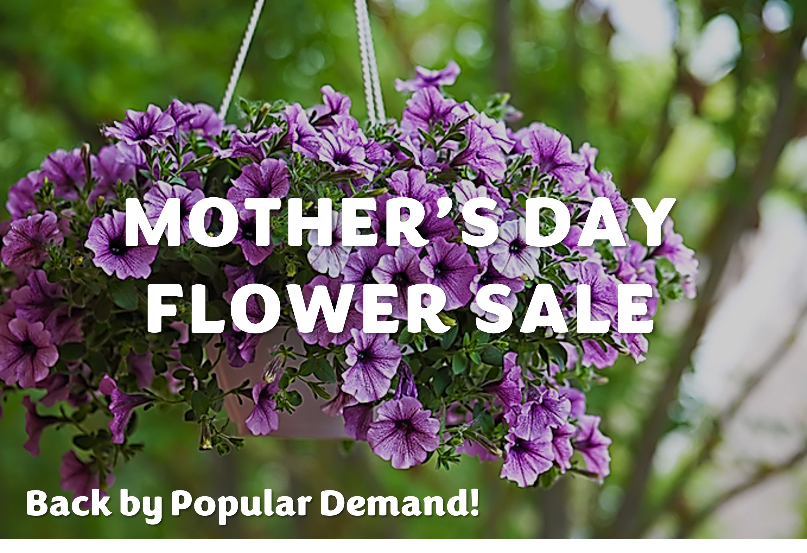 Mother’s Day Hanging Basket Sale First Congregational Church of Tallmadge